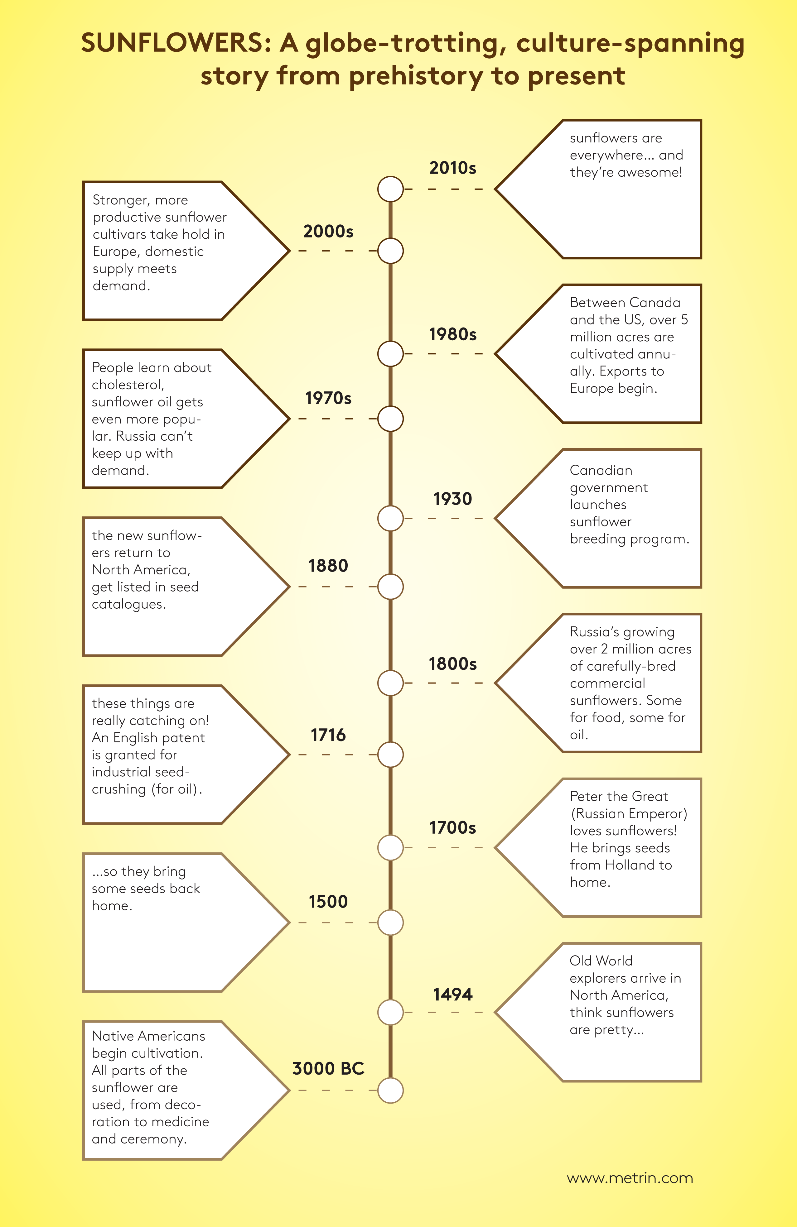 Sunflower Historical Timeline