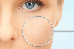 Skin's structure and function